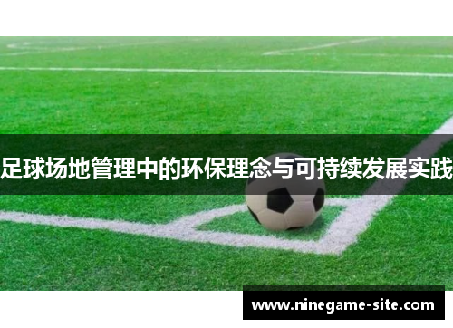 足球场地管理中的环保理念与可持续发展实践
